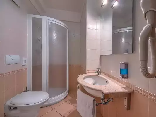 Dusche und WC bei einem Zimmers im Hotel Garnì La Vigna