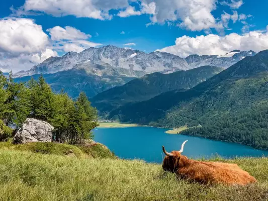 Eine prachtvolle Natur und Berggipfel in Graubünden/Schweiz